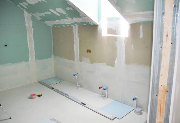 Best Basement Mold Removal  in Petersburg, VA